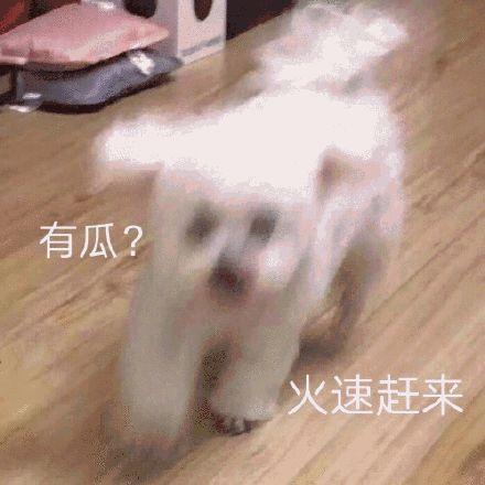 吃瓜娱乐圈懒猫儿